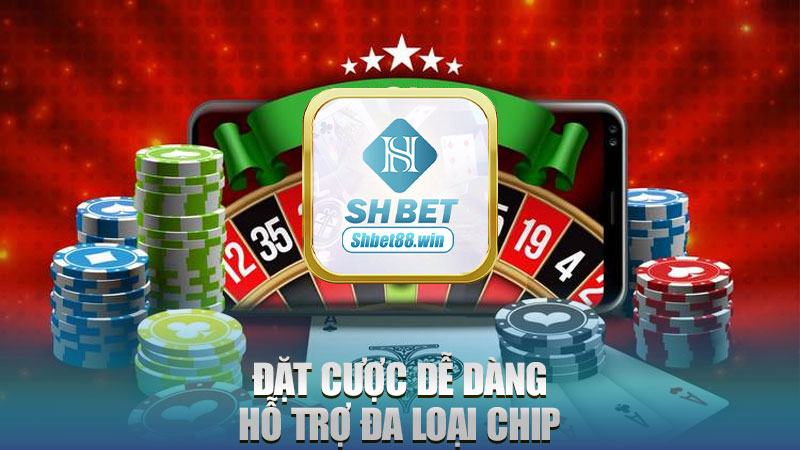 Đặt cược dễ dàng, hỗ trợ đa loại chip