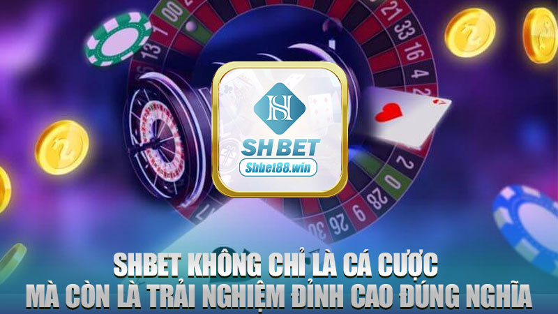 Shbet không chỉ là cá cược mà còn là trải nghiệm đỉnh cao đúng nghĩa