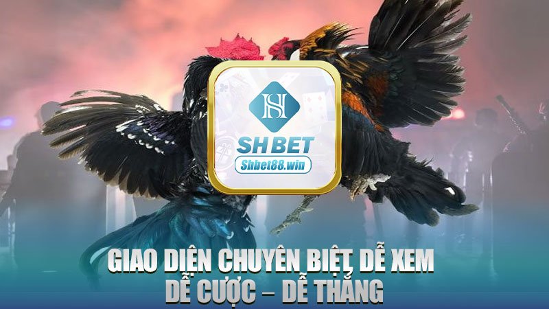 Giao diện chuyên biệt, dễ xem – dễ cược – dễ thắng