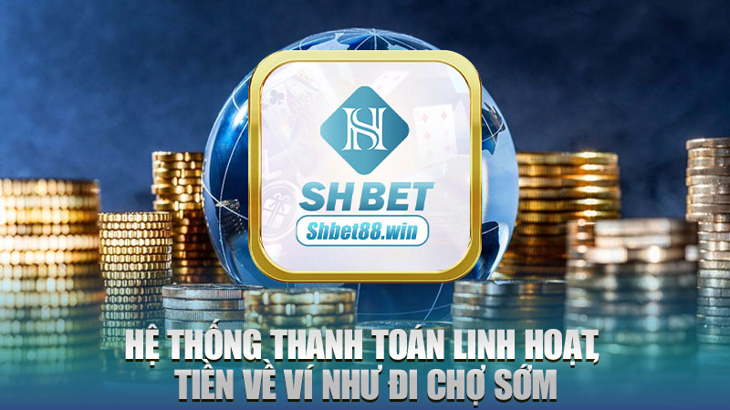 Hệ thống thanh toán linh hoạt, tiền về ví như đi chợ sớm